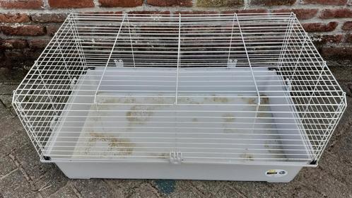 Ferplast Caviakooi middel, Dieren en Toebehoren, Knaagdieren en Konijnen | Hokken en Kooien, Zo goed als nieuw, Kooi, Minder dan 60 cm