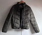 Capsize tussenjas maat M, Kleding | Dames, Jassen | Winter, Maat 38/40 (M), Capsize, Nieuw, Ophalen of Verzenden
