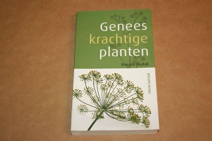 Geneeskrachtige planten - Renate Hudak !!, Boeken, Gezondheid, Dieet en Voeding, Zo goed als nieuw, Ophalen of Verzenden