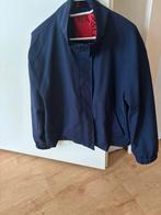 Korte jas van Max&Co maat xl, Ophalen of Verzenden, Zo goed als nieuw, Blauw