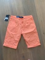 Lorte broek maat 31, Ophalen of Verzenden, Nieuw