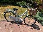 Cortina U4 transportfiets meisje 24 inch 3V pastelgroen, Fietsen en Brommers, Fietsen | Meisjes, Ophalen, Versnellingen, Cortina