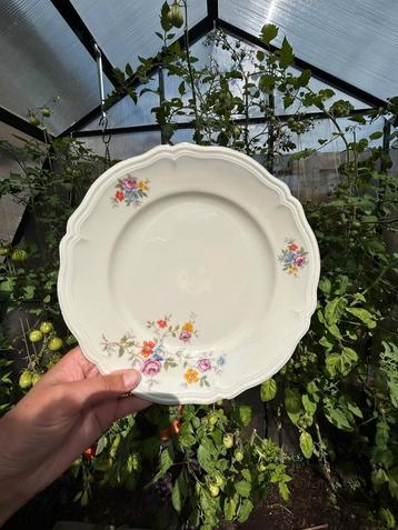 Spenzo brod groot crème met bloemetjes beschikbaar voor biedingen