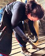 Hoefsmid heeft weer ruimte rond Utrecht/Ede/Rotterdam/Arnhem, Diensten en Vakmensen, Dieren | Paarden | Verzorging, Oppas en Les