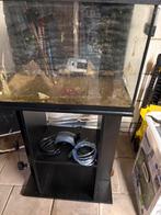 Aquarium, Dieren en Toebehoren, Ophalen of Verzenden