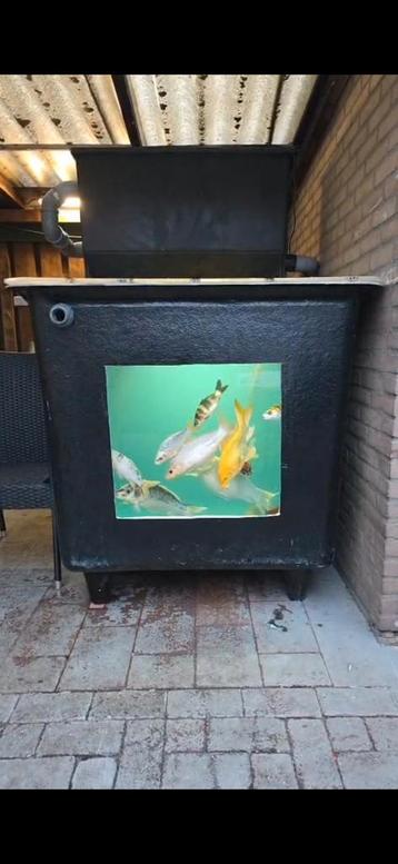Qbak met bodemdrain 1000 liter met kijkglas beschikbaar voor biedingen