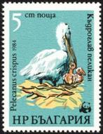 1984 Bulgarije  Fauna Vogels Pelikanen wwf, Ophalen of Verzenden, Dier of Natuur, Postfris