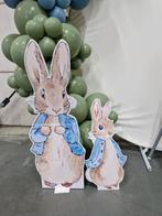 Pieter Konijn / Peter rabbit versiering, Ophalen of Verzenden, Jongetje of Meisje, Zo goed als nieuw