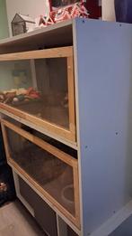 Cavia flat, Ophalen, 110 cm of meer, Zo goed als nieuw, 90 cm of meer