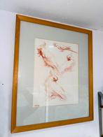 Tekening in lijst gesigneerd Wim van Bemmel vogels, Antiek en Kunst, Ophalen