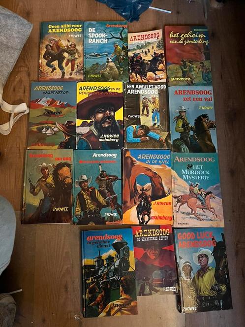 Arendsoog serie (J.NOWEE), Boeken, Avontuur en Actie, Zo goed als nieuw, Ophalen of Verzenden