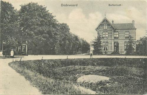(701-248-037) Dodewaard Buitenlust, Verzamelen, Ansichtkaarten | Nederland, Gelderland, Verzenden