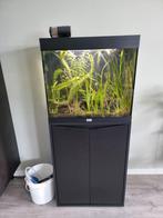 aquatlantis splendid 60 programmerbare led, Ophalen, Zo goed als nieuw, Gevuld zoetwateraquarium
