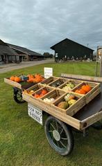 Pompoenen, Halloweenpompoenen, kalebassen, Ophalen, Nieuw