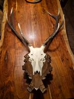 Hertengewei op Houten Plank - 100x70cm, Ophalen