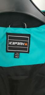 Icepeak skijas groen dames maat 152, Kleding | Dames, Ophalen of Verzenden, Zo goed als nieuw, Maat 34 (XS) of kleiner, Jack