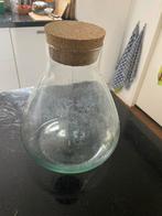 Planten terrarium stolp, Ophalen, Gebruikt