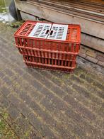 Kippenmanden, Ophalen of Verzenden, Drinken en Voederen