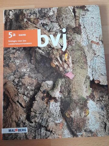 BVJ leeropdrachtenboek 5a HAVO beschikbaar voor biedingen