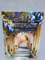 Tuinposter, Tuin en Terras, Tuinwanddecoratie, Ophalen