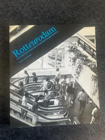 Rotteurodam foto/mens beschikbaar voor biedingen