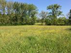 Gezocht perceel grasland / weiland / agrarische grond / wei, Dieren en Toebehoren, Weidegang