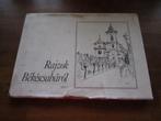 Rajzok bekescsabarol.en andere kustboeken., Ophalen of Verzenden, Zo goed als nieuw