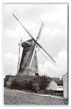 Someren, Korenmolen, Verzamelen, Ansichtkaarten | Nederland, Verzenden, 1960 tot 1980, Ongelopen, Noord-Brabant