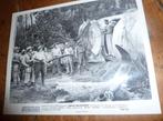 35mm film moviestill Jungle Wildernis Vera Ralston 1954, Verzenden, 8mm film