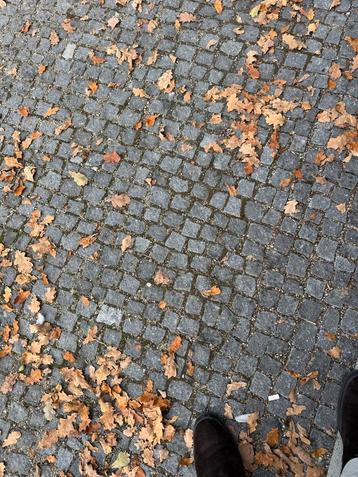 Portugese Kasseien/Kinderkoppen - 120/140m2 beschikbaar voor biedingen