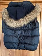 Bodywarmer, Ophalen of Verzenden, Gedragen, Maat 48/50 (M)