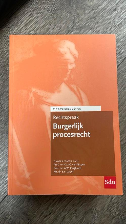 Rechtspraak Burgerlijk procesrecht, Boeken, Wetenschap, Zo goed als nieuw, Ophalen of Verzenden