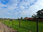 Stalling voor je paard - Vakantie, Revalidatie of Training, Dieren en Toebehoren, Stalling en Weidegang, Weidegang, 2 of 3 paarden of pony's