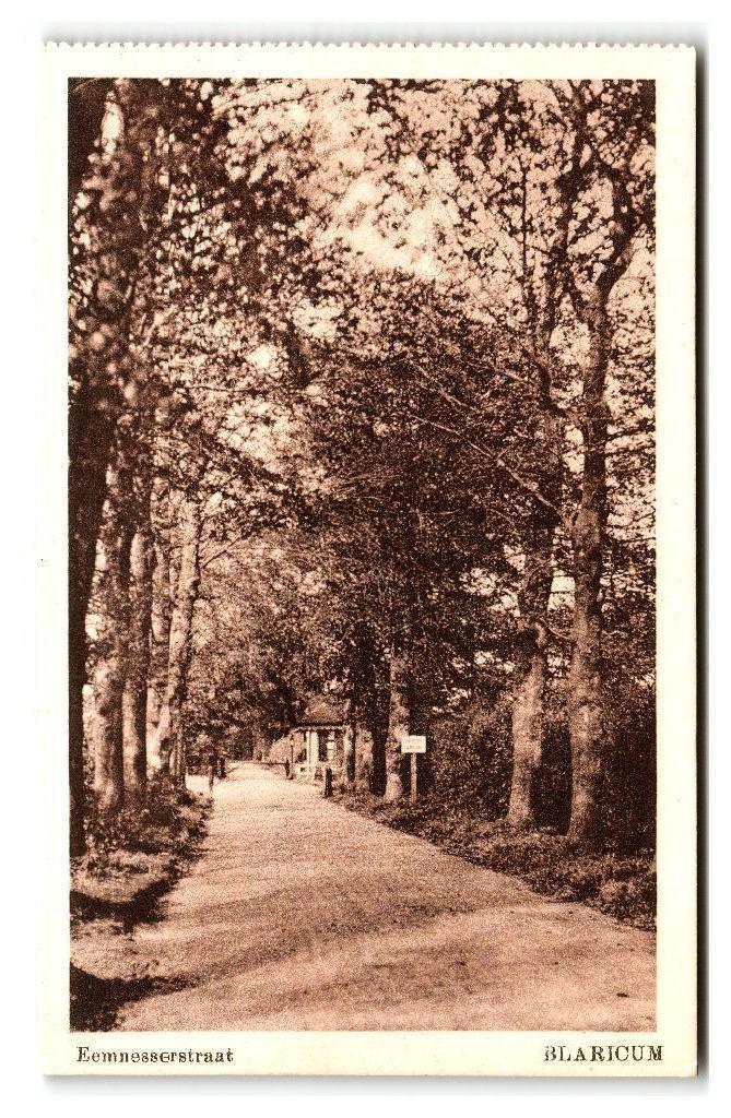 Blaricum, Eemnesserstraat, Verzamelen, Ansichtkaarten | Nederland, Ongelopen, Noord-Holland, 1920 tot 1940, Verzenden