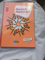 Rinze van der Lei - Muziek Meester!, Rinze van der Lei; Lieuwe Noordam; Frans Haverkort, Ophalen of Verzenden, Zo goed als nieuw