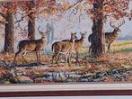 Borduurpakket Herten in het Bos - Nieuw!, Antiek en Kunst, Ophalen of Verzenden