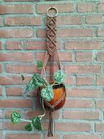 Macramé plantenhanger, Ophalen of Verzenden, Nieuw