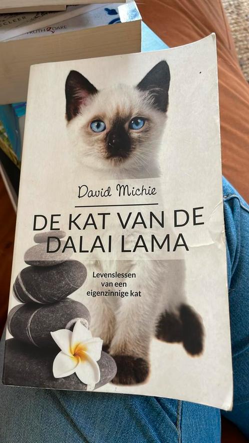 David Michie - De kat van de Dalai Lama, Boeken, Overige Boeken, Gelezen, Ophalen of Verzenden