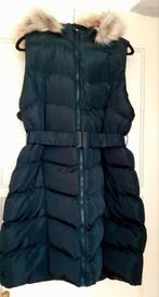 Bodywarmer French Connection XL, Kleding | Dames, French Connection, Zwart, Maat 46/48 (XL) of groter, Nieuw