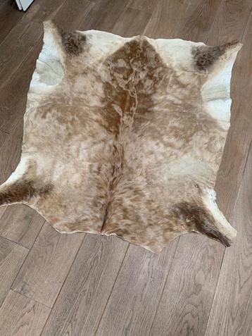 Prachtige koeienhuid  beschikbaar voor biedingen