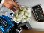 Nep witte roosjes bruiloft decoratie, Ophalen of Verzenden, Nieuw