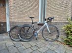 Wilier Triestina, Gebruikt, Carbon, Meer dan 20 versnellingen, 53 tot 57 cm