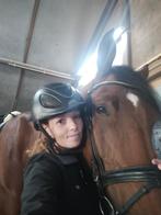 GEZOCHT: liners speed air cap gpa. Maat 57 / 58. Of gpa cap, Ophalen of Verzenden, Nieuw, Dressuur, Bovenkleding