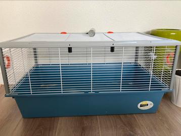 Grote hamsterkooi. Gratis afhalen in Oostrum Lb beschikbaar voor biedingen