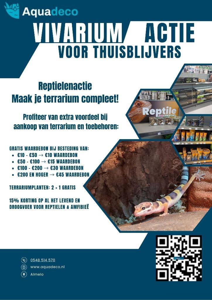 Vivarium thuisblijvers opgelet!!!!!, Dieren en Toebehoren, Reptielen en Amfibieën, 0 tot 2 jaar