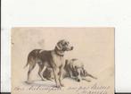 Twee honden een waaks andere liggend 7 sept 1919, Verzenden, Voor 1920, Gelopen, Overige thema's