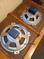 2x Dynacord Alnico speakers 1x 12 inch en 1x10 inch, Audio, Tv en Foto, Luidsprekers, Overige merken, Gebruikt, Overige typen