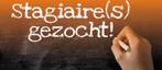 Stagere gezocht hulp in de keuken eetzaak in Bunnik, Vacatures, Vacatures | Horeca en Catering, Overige uren, Overige niveaus