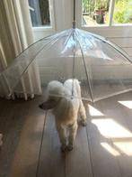 Regen? Hondenparaplu paraplu voor de hond. Droog uitlaten, Ophalen of Verzenden, Nieuw