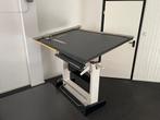 Professionele Tekentafel of schildersezel, Doe-het-zelf en Verbouw, Tekentafels, Ophalen, Gebruikt, 150 tot 170 cm